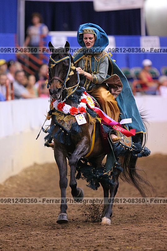 Proof 09r12-08360