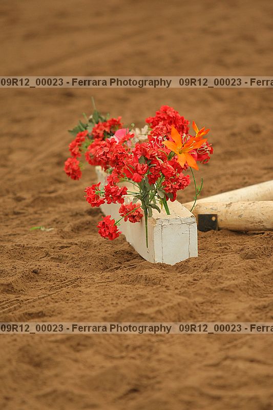Proof 09r12_00023
