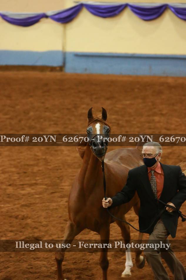 Proof 20YN_62670
