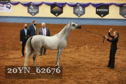 20YN_62676 proof