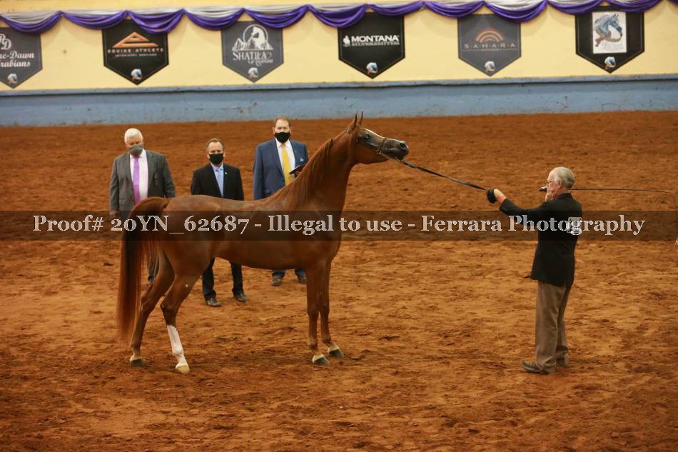 Proof 20YN_62687