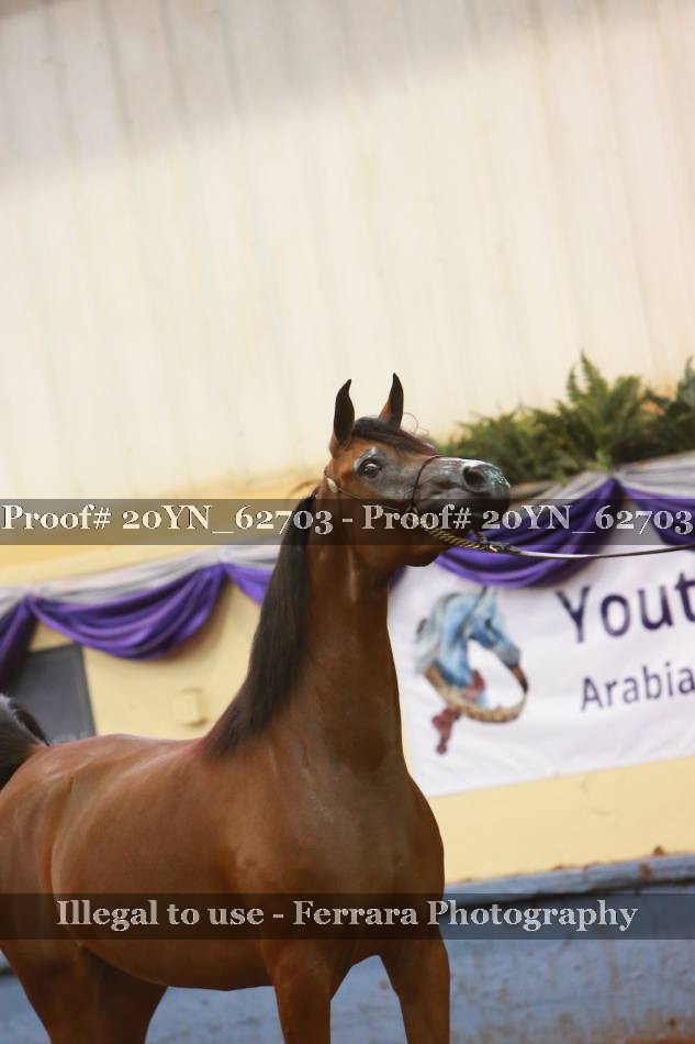 Proof 20YN_62703