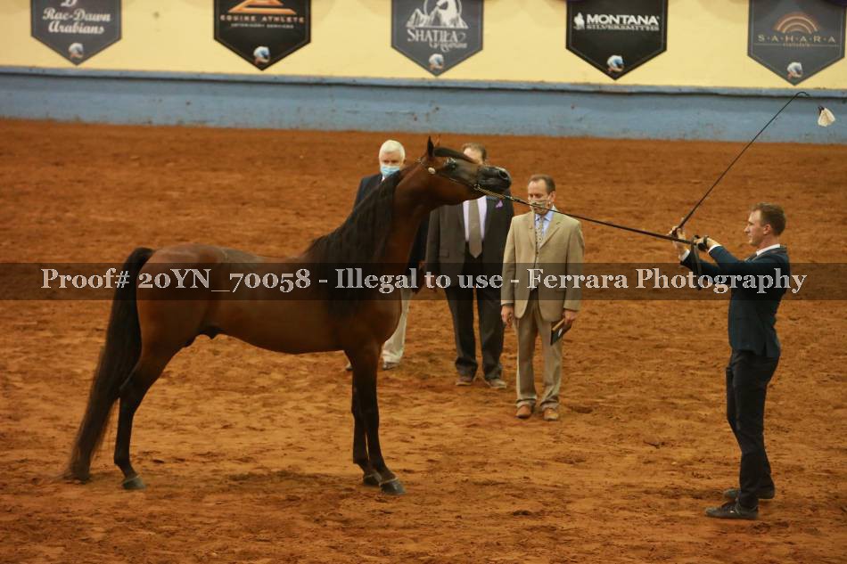 Proof 20YN_70058