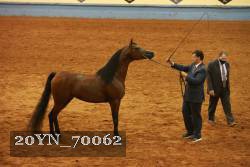 20YN_70062 proof