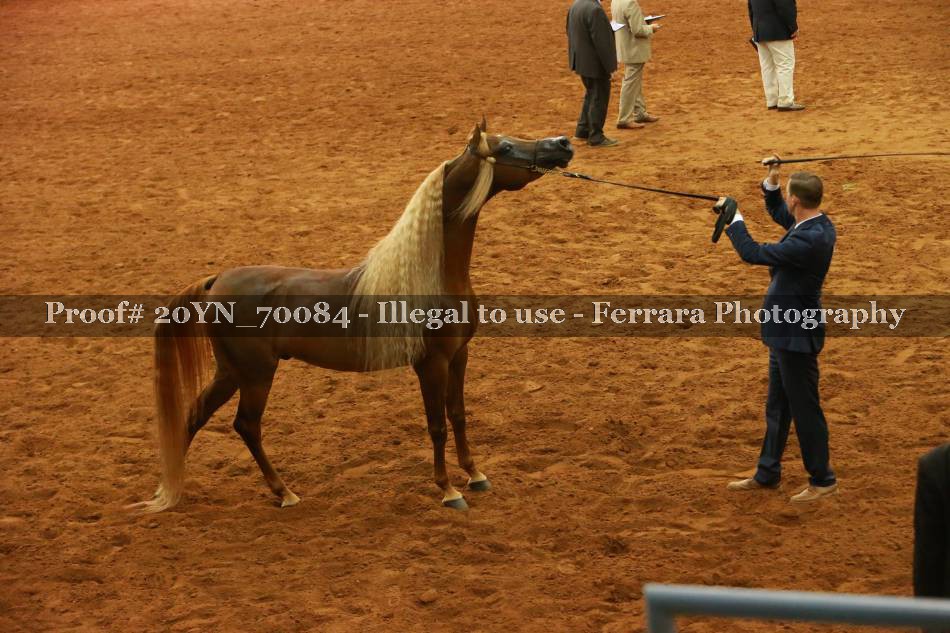 Proof 20YN_70084