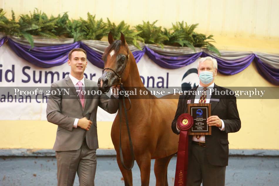 Proof 20YN_70100