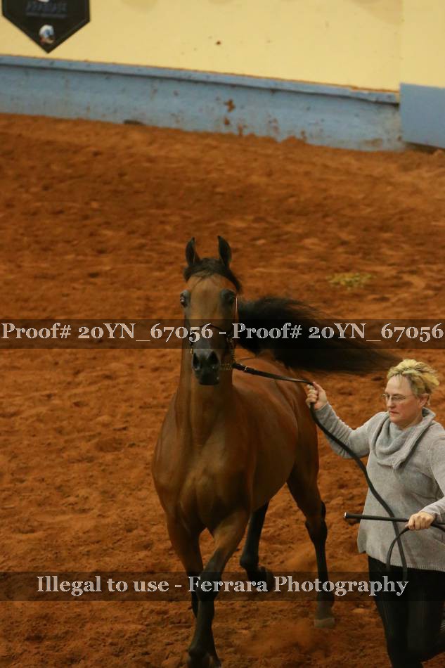 Proof 20YN_67056