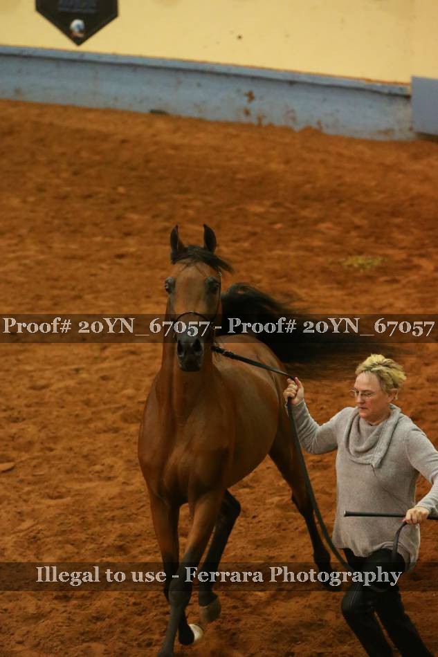 Proof 20YN_67057