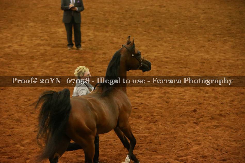 Proof 20YN_67058