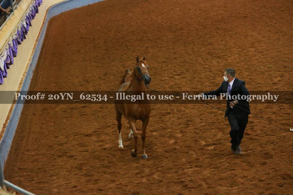 Proof 20YN_62534