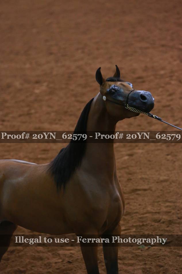 Proof 20YN_62579