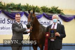 20YN_62605 proof