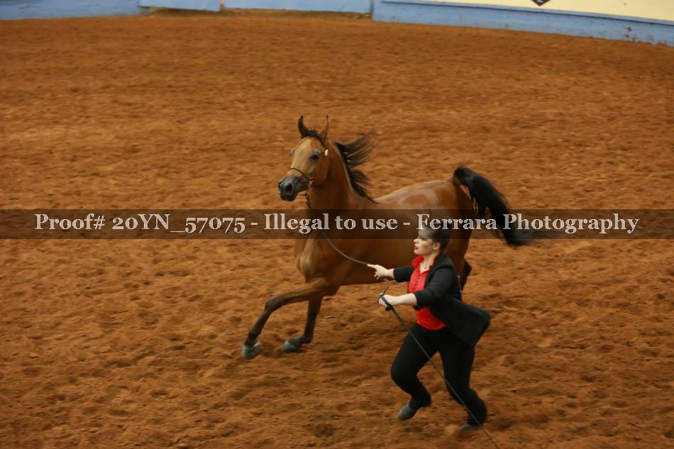 Proof 20YN_57075