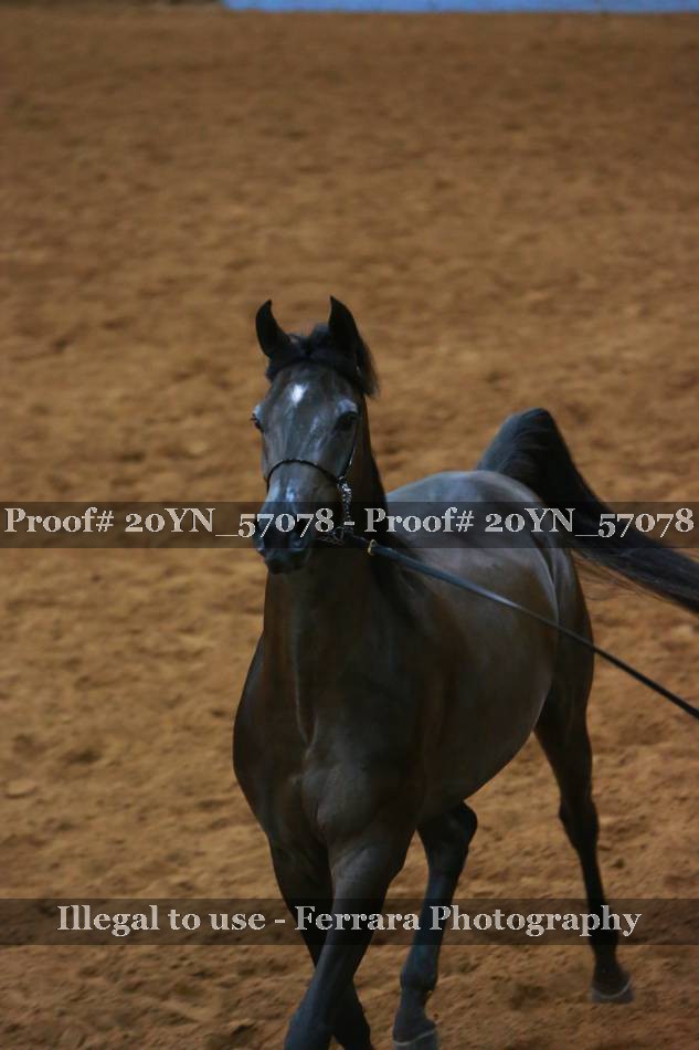 Proof 20YN_57078