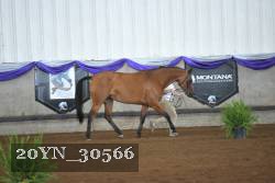 20YN_30566 proof