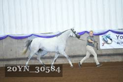 20YN_30584 proof