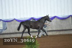 20YN_30619 proof