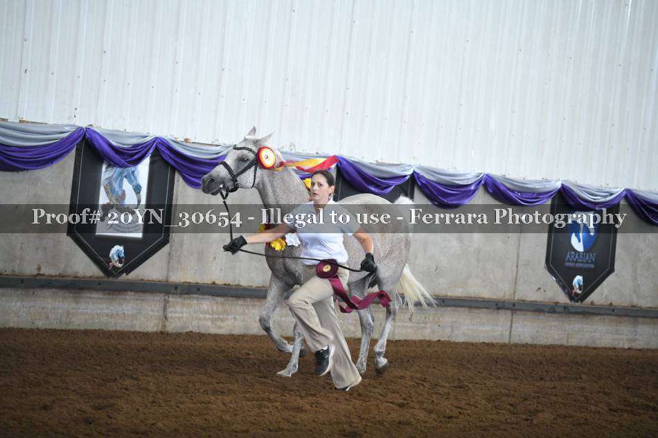 Proof 20YN_30654