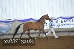 20YN_31161 proof