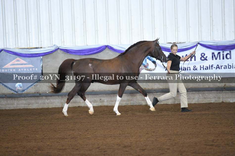 Proof 20YN_31197