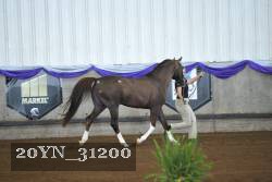 20YN_31200 proof