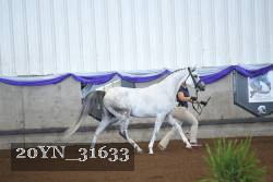 20YN_31633 proof