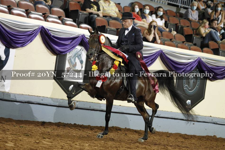 Proof 20YN_57244