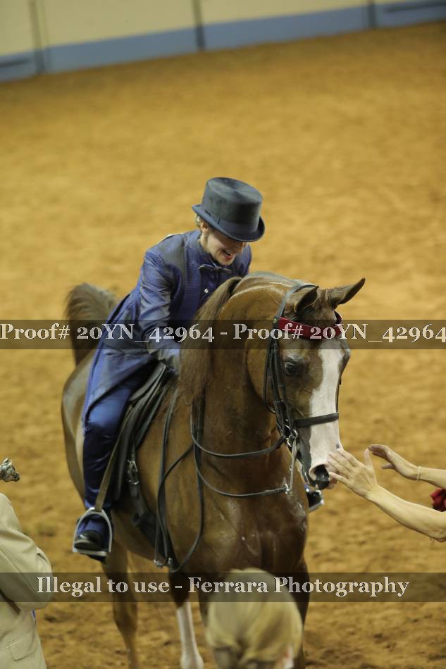 Proof 20YN_42964