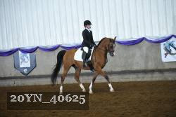 20YN_40625 proof