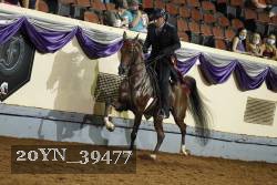 20YN_39477 proof