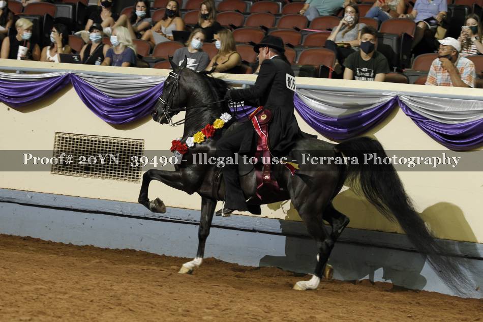 Proof 20YN_39490