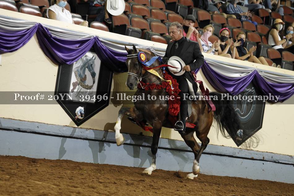 Proof 20YN_39496