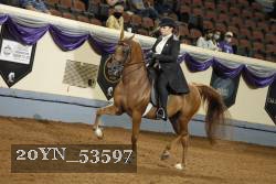 20YN_53597 proof