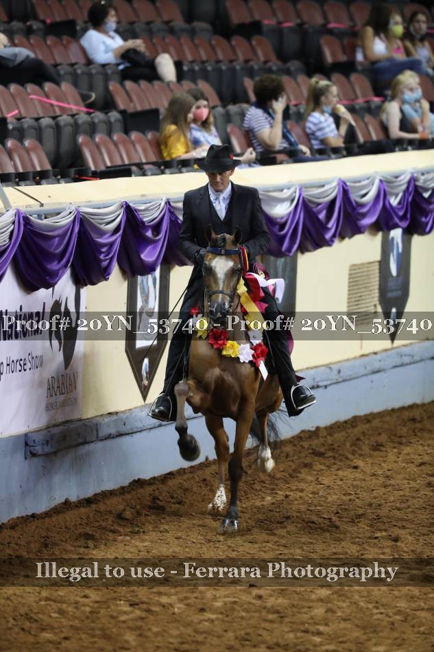 Proof 20YN_53740