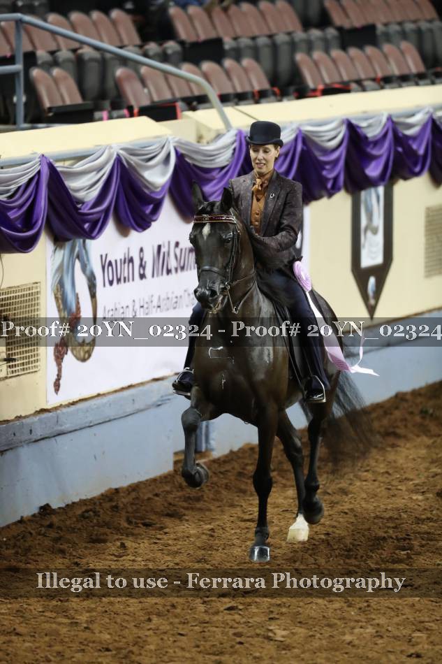 Proof 20YN_02324