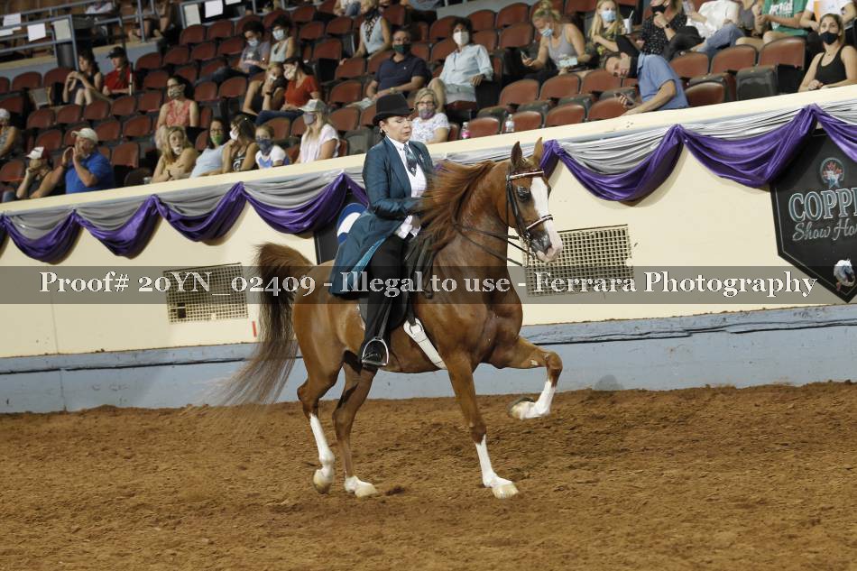 Proof 20YN_02409
