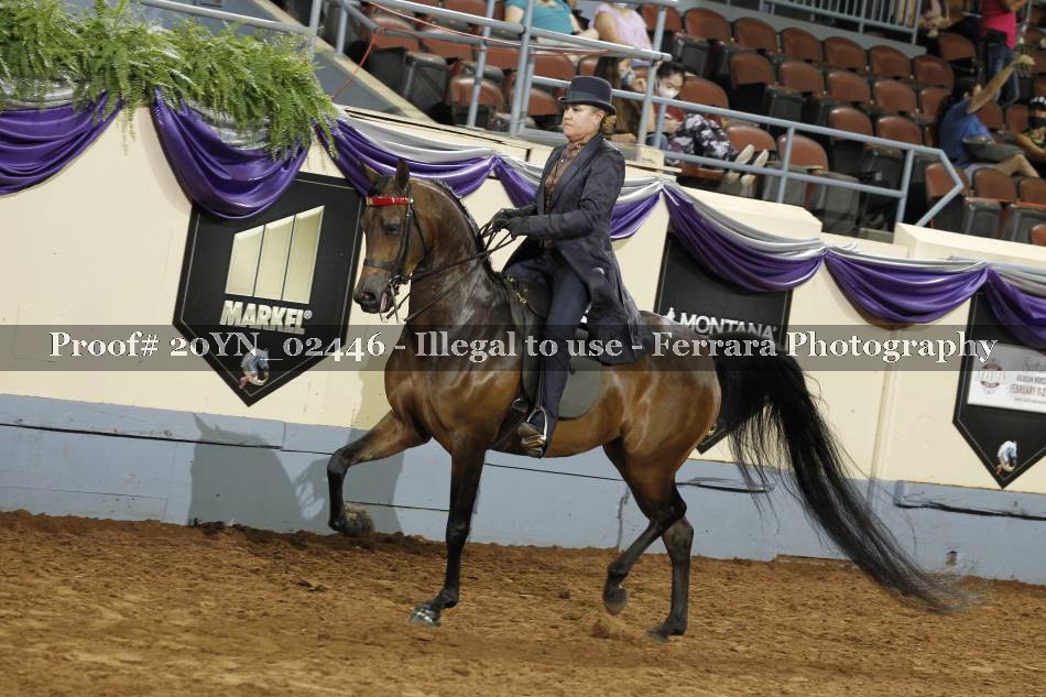Proof 20YN_02446