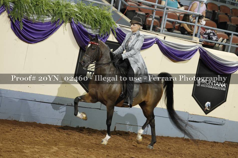 Proof 20YN_02460
