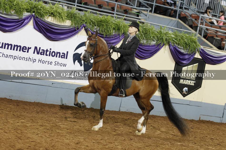Proof 20YN_02468