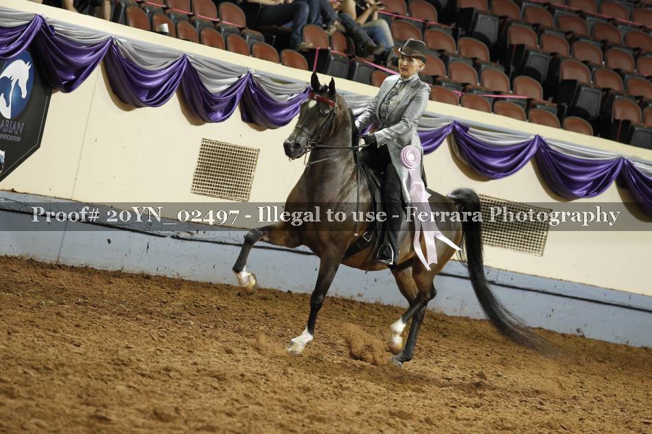 Proof 20YN_02497