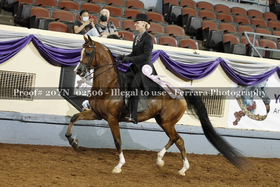 Proof 20YN_02506