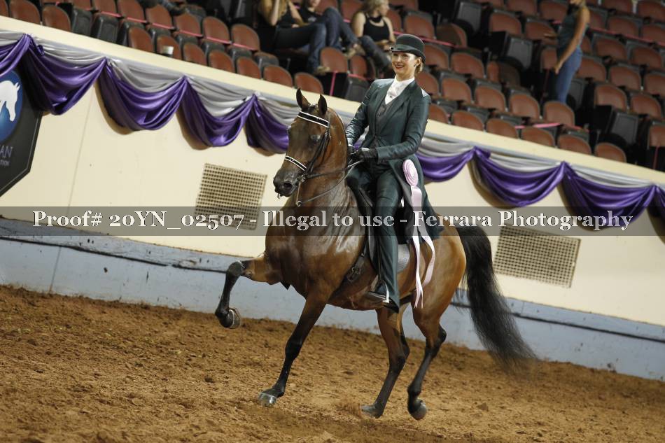 Proof 20YN_02507