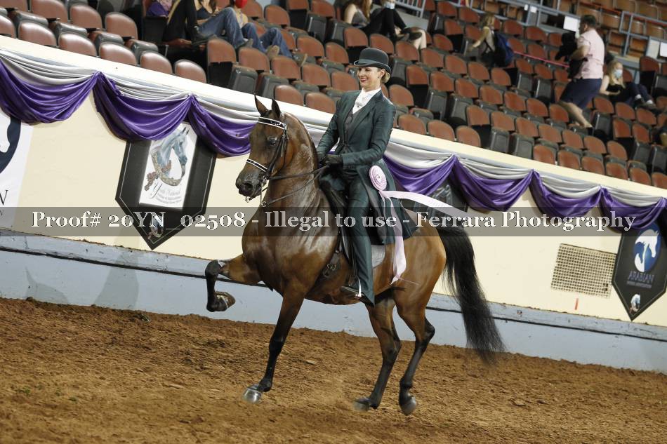 Proof 20YN_02508