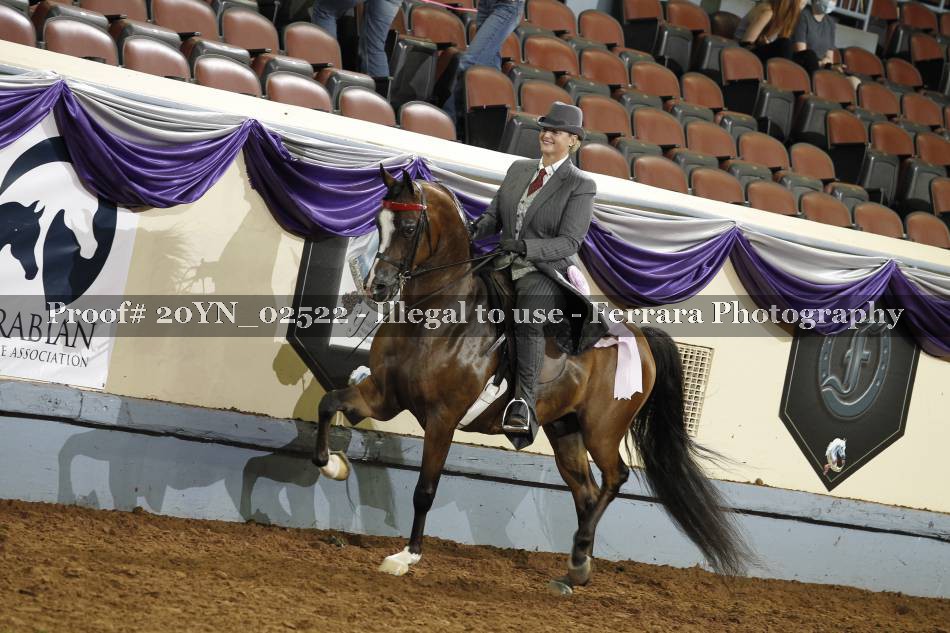 Proof 20YN_02522