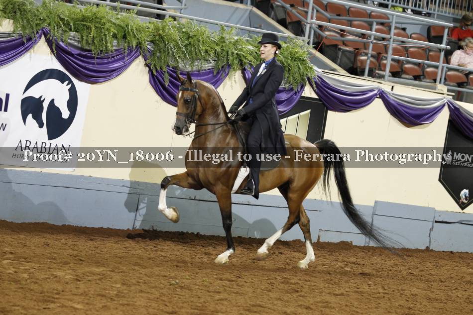 Proof 20YN_18006