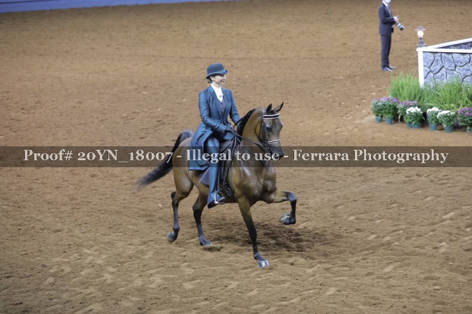 Proof 20YN_18007