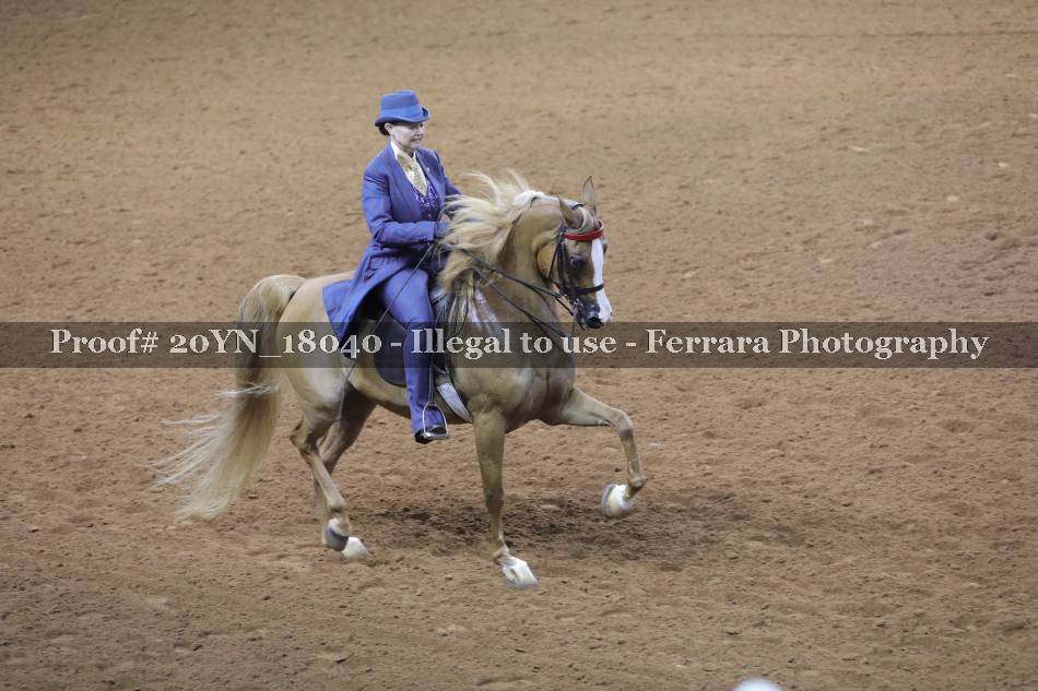 Proof 20YN_18040