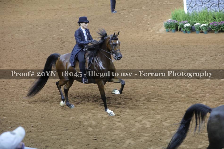 Proof 20YN_18045