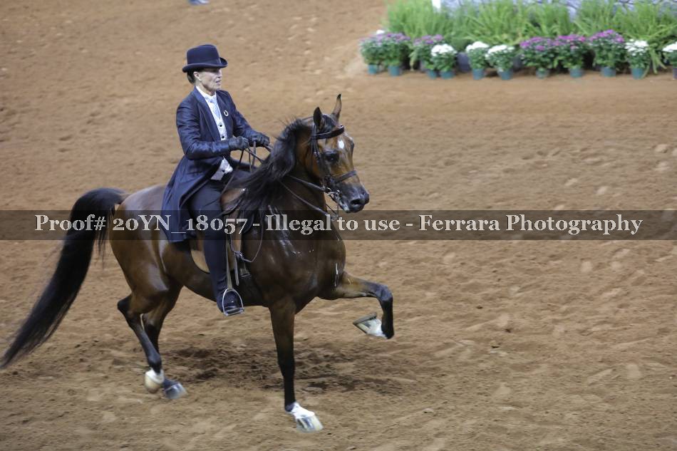 Proof 20YN_18057