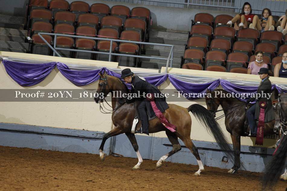 Proof 20YN_18103